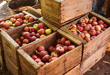 Propiedades de la manzana verde y roja