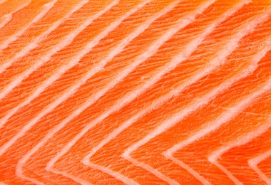 Variedades de salmón