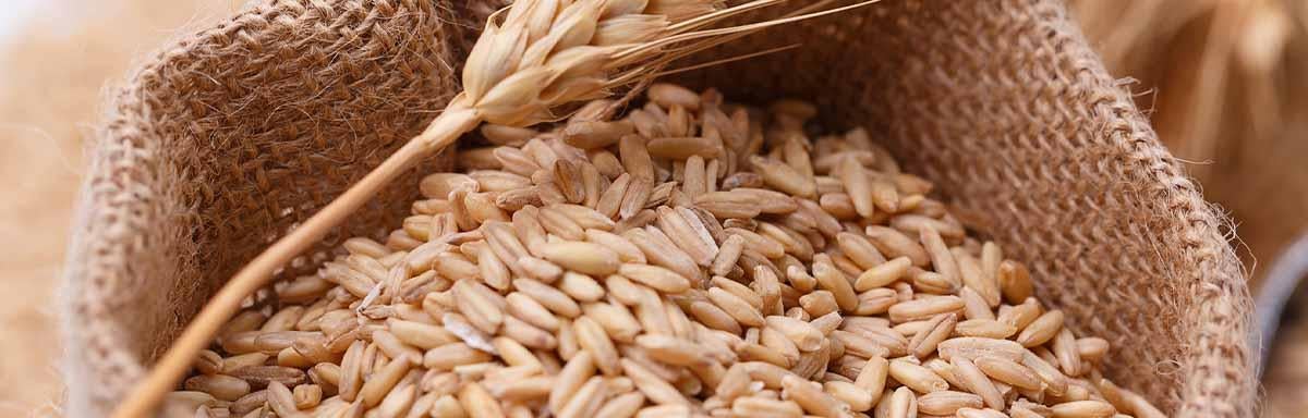Una bolsa llena de trigo, un alimento que contiene gluten