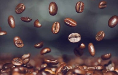 Alimentos para sembrar en huerta casera 