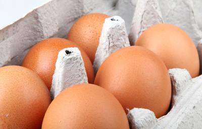 Huevos en cubeta/empaque de cartón Huevos en cubeta/empaque de cartón