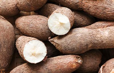 Cómo cocinar con yuca