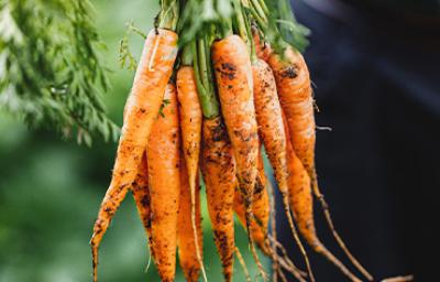 Existen muchísimas recetas con zanahoria para usarla cruda o cocinada