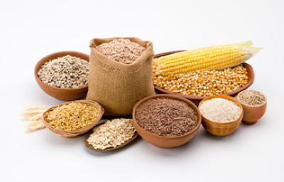 Varios tipos de granos como maíz, arroz, quinoa y diferentes tipos de cereales Varios tipos de granos como maíz, arroz, quinoa y diferentes tipos de cereales