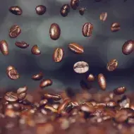 Alimentos para sembrar en huerta casera 