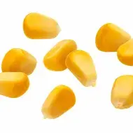 Granos de maíz.