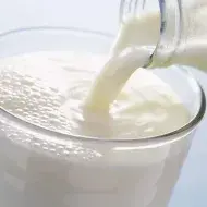 Productos lácteos