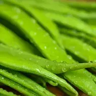 Vainitas verdes frescas  